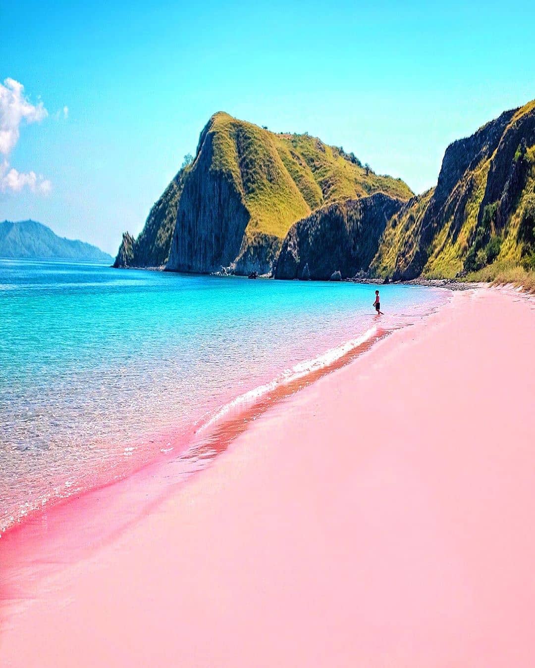 Ragam Aktivitas yang Bisa Dilakukan di Pantai Pink Ragam Aktivitas yang Bisa Dilakukan di Pantai Pink